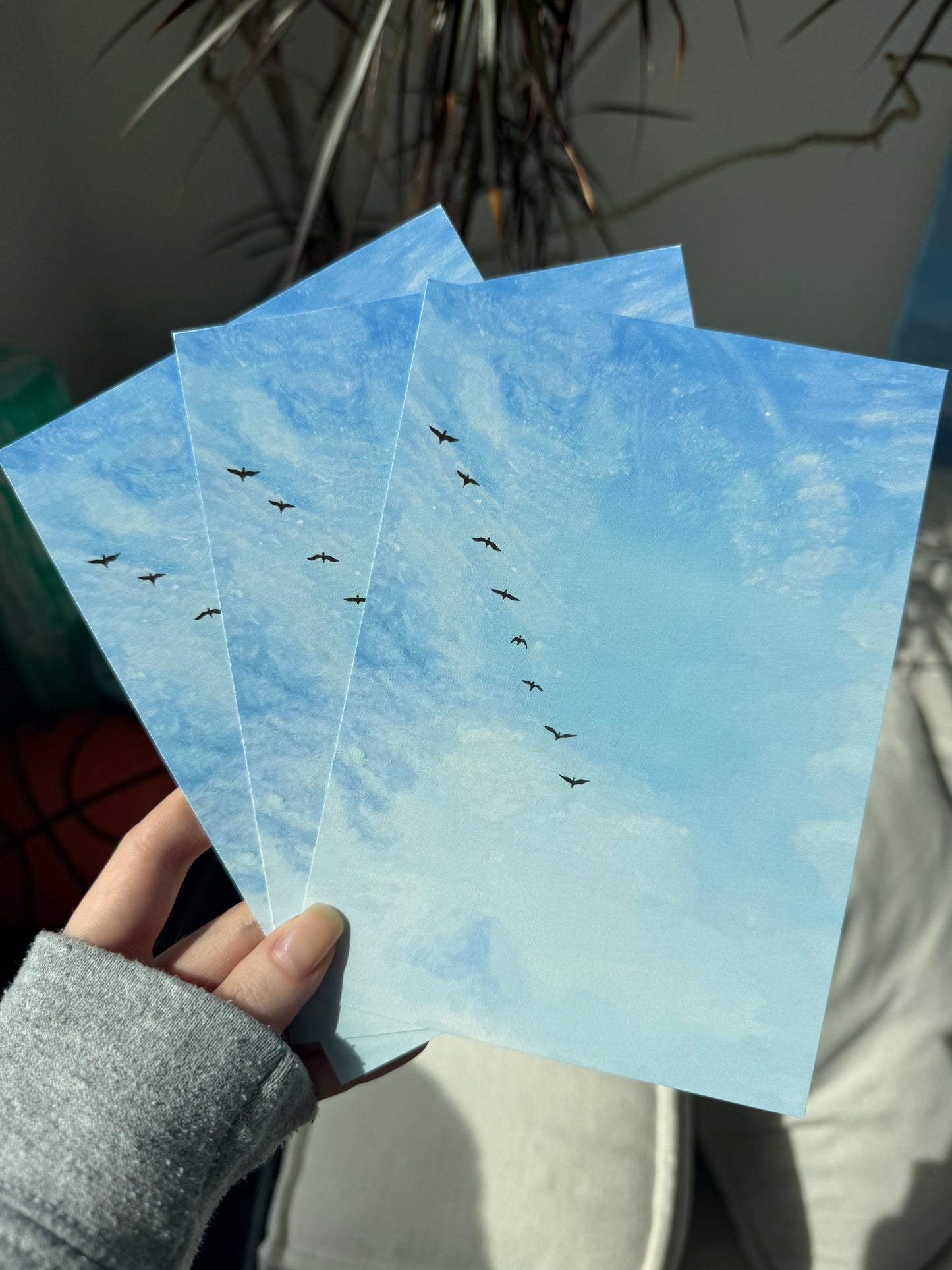 Skygazer’s Print Club US