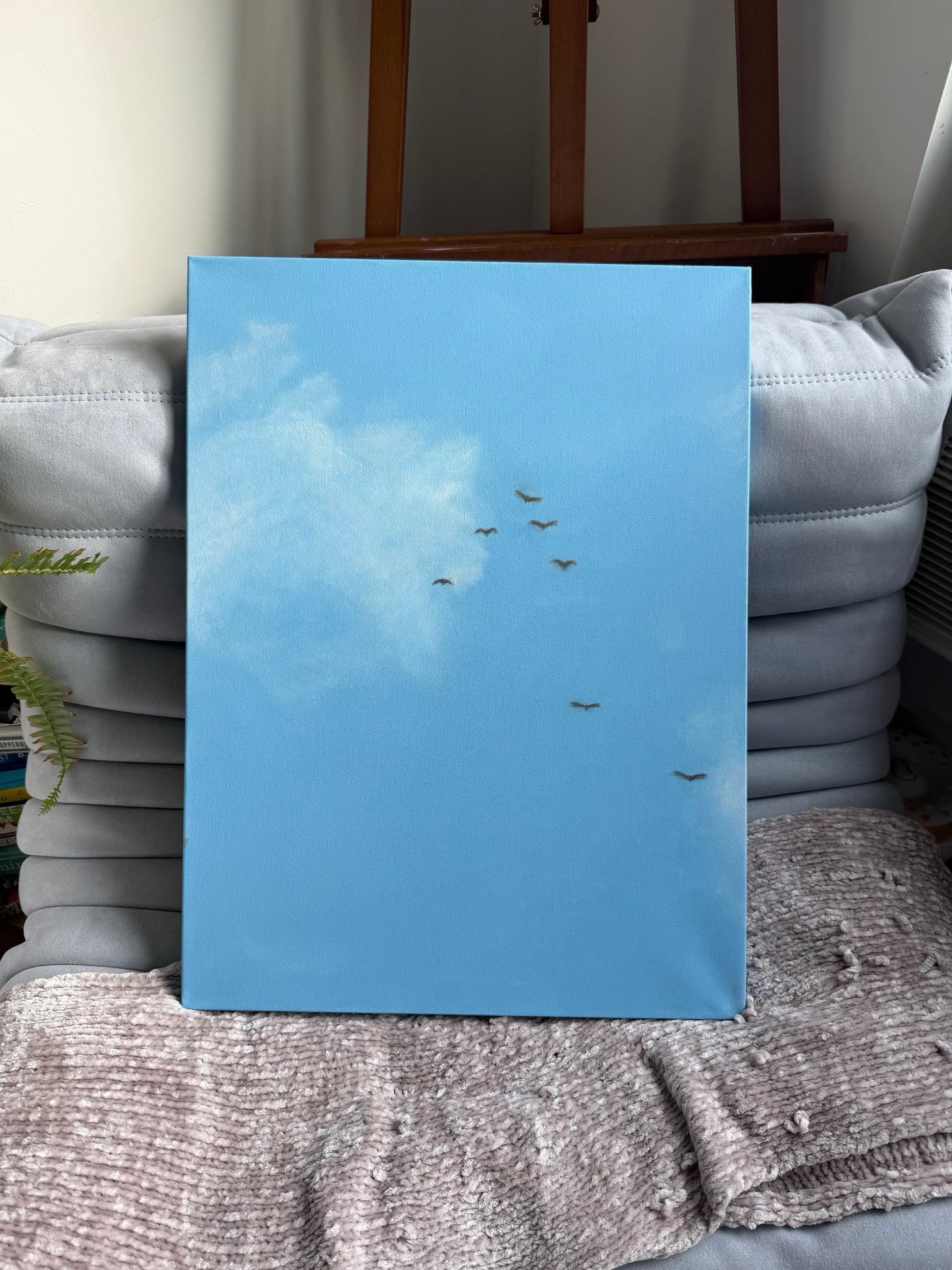 Soft skies